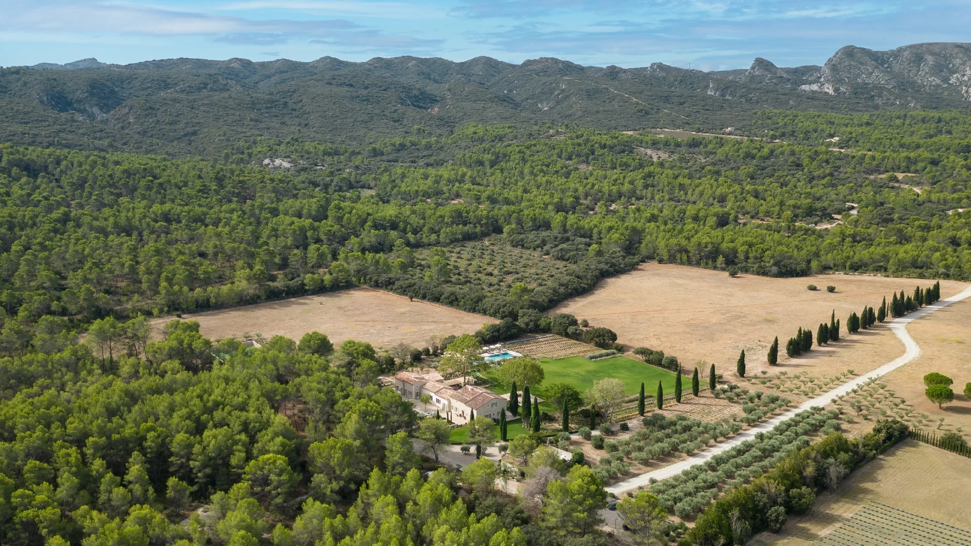 The estate among pine woods, the Alpilles in the distance — Montjoie