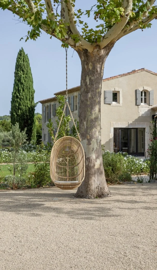 Hanging rattan chair beneath a plane tree — Montjoie